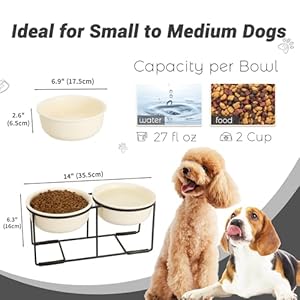 Ceramicelevateddogbowlsetdoubledogbowlswithnonslipmetalstandraiseddogfoodandwaterbowlsetdogfeedingbowlsidealforsmallandmediumdogs2cups27flozbeige Urban Country Home Decor Ceramic elevated dog bowl set double dog bowls with non slip metal stand raised dog food and water bowl set dog feeding bowls ideal for small and medium dogs 2 cups 27 fl oz beige urban country home decor