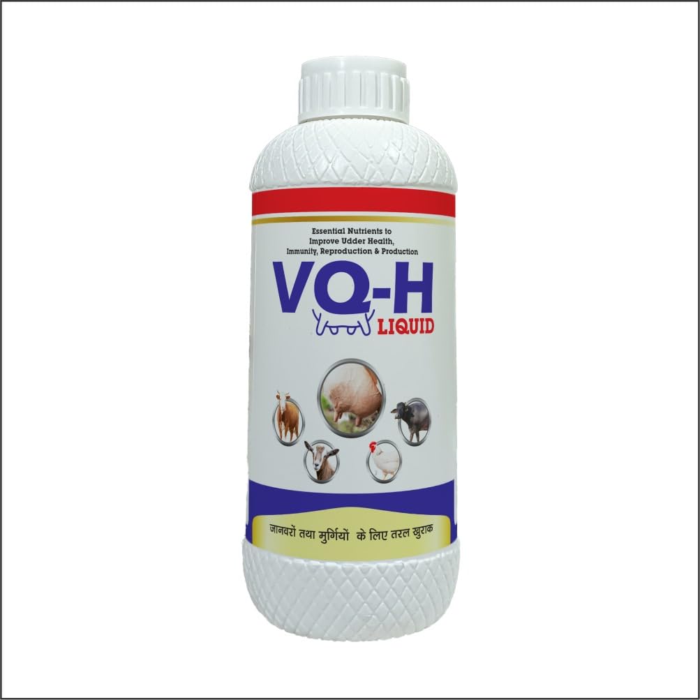 VEQTIS VQ-H Veterinary Vitamin H for Cow, Cattle, Poultry & Livestock Animals/Vitamin H with Vitamin D3 and Vitamin E Liquid Feed Supplement for Cattle, Cow and Farm Animals/Pack of 1 Liter (B0CWB3DM2Q) Amazon Price History, Amazon Price Tracker