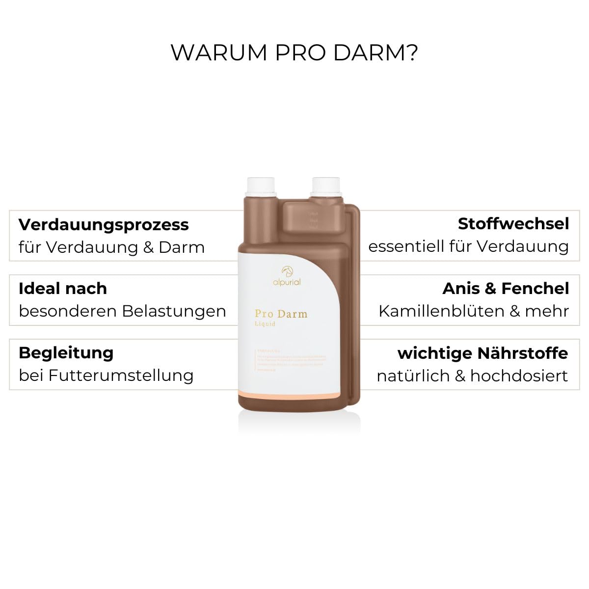 Pro-Darm – Ergänzungsfuttermittel für Pferde mit fütterungsbedingtem Bedarf im Darmbereich – mit Fenchelöl, Anisöl, Kamille, Süßholzwurzel & Artischocke – vom Tierarzt entwickelt