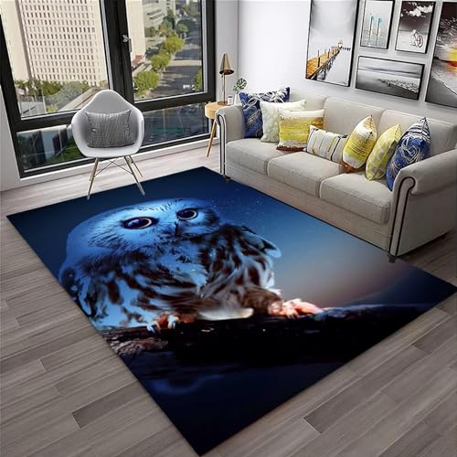 Chouette des Animaux Enfants Tapis Salon Tapis Antidérapant Paillasson Chambre Décor Tapis 50 X 80 Cm 3D Imprimé Flanelle Tapis - Polyester Doux Au Toucher...