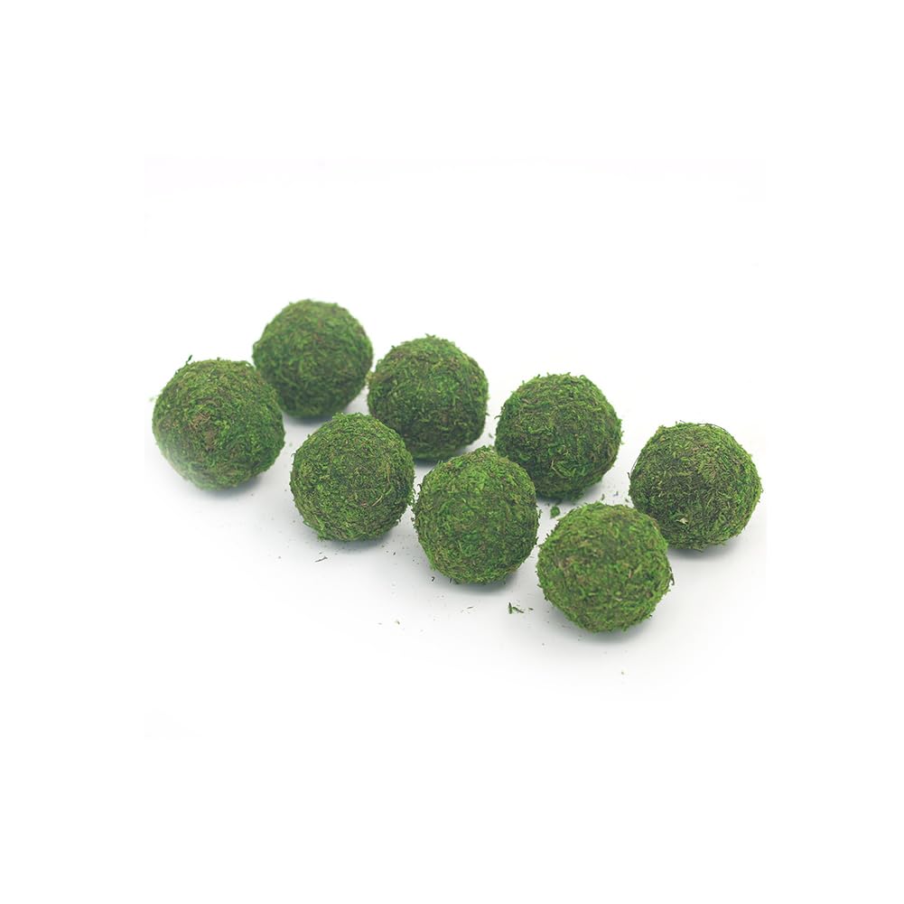 Nice purchase Handmade Natural Green Plant Moss Balls Decorative for Home Party Display Decor Props (2 in)