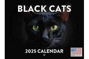 Captivating Black Cats Wall Calendar 2024