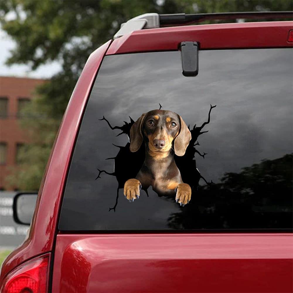 ChichuangK Dachshund Dog 3D car sticker decoration, car sticker, SUV window glass sticker, sports car sticker, personalized car decoration, refrigerator sticker, interior decoration