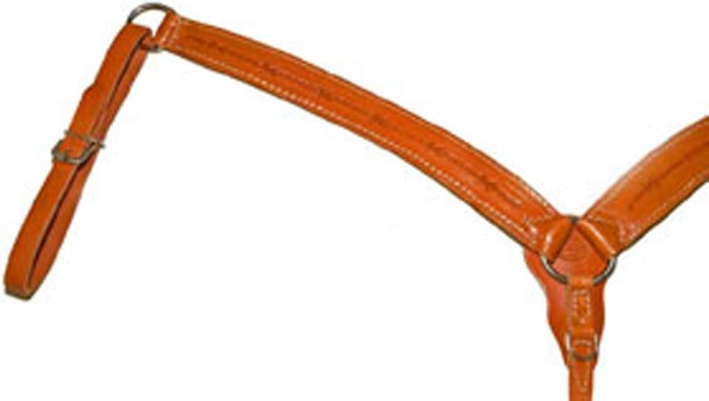 Barb Wire Breast Collar