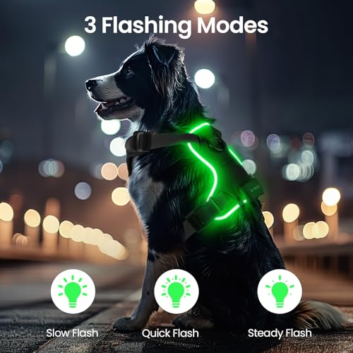 Light Up Dog Hundegeschirr Leuchtend LED Aufladbar - Leuchtgeschirr Leuchtend für Klein Mittelgroße Grosse Hund, Reflektierende Brustgeschirr Beleuchtetes Hundegeschirr, 4-Punkt Verstellbar,Schwarz,L