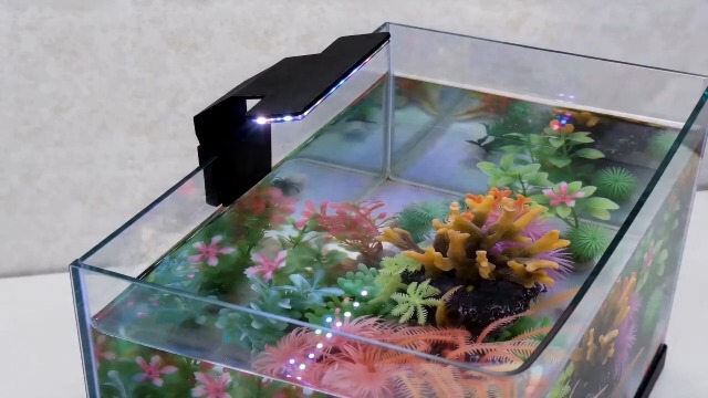 Image of Mini Clip On Fish Tank Light 7W Small Aquarium Light for 1 to 5 Gallon Nano Tanks USB Moving Lamp with White Red Blue Green LED (Adapter NOT Included)