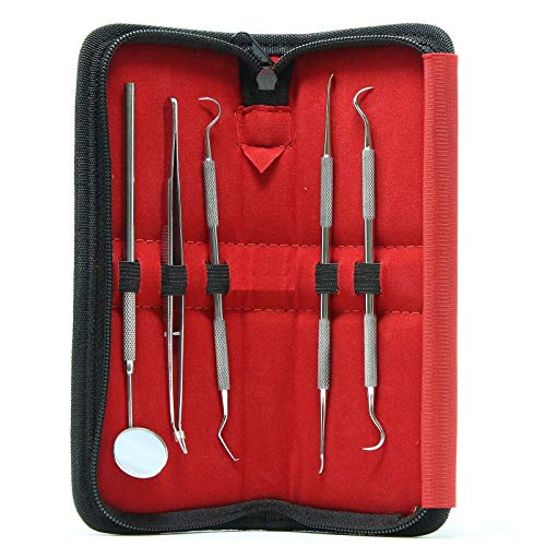 AR3 Professional Dental Tool Oral Hygiene 5 piece Kit includes Tweezers, Mouth Probe, Scraper, Scaler, Pick with Storage Case - Stainless Steel