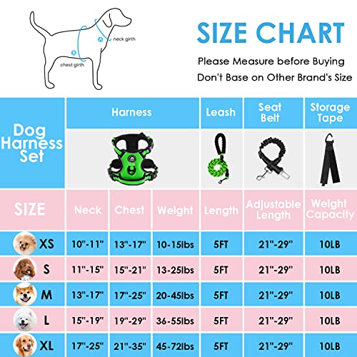 NESTROAD Hundegeschirr Kleine Hunde Grün, Anti Zug Geschirr Gepolstert Brustgeschirr für Kleine Hunde, Größe S Halsumfang 28~38CM Brustumfang 38~53CM, Reflexstreifen Brustgeschirr Hund