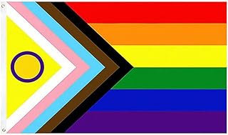 Progress Pride Flag, LGBTQIA2+ Flag, Gay Pride Flag, Rainbow Flag, Gay Pride Accessories, LBGTQ Gifts, Intersex Community, Intersex Progress, Bisexual, Gay, Lesbian, Transgender - By TRIXES