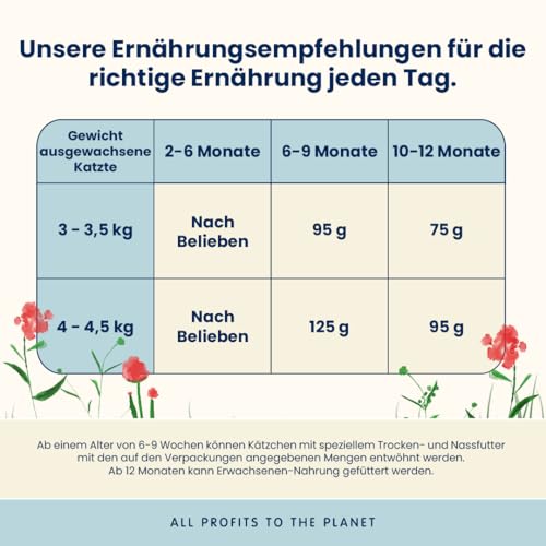 Almo Nature Kitten - Trockenfutter für Kätzchen mit Frischem Huhn - Für ein Ausgewogenes Wachstum von 2 bis 12 Monaten, Geeignet für Trächtigkeit und Stillzeit - 400g Beutel