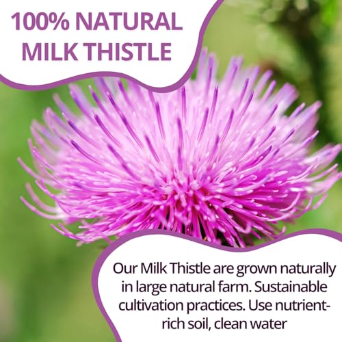 Image of VIDA FARM 125 Milk Thistle Tea Bags | 100% Natural Seeds and Leaves, Dried Herbal Tea, Sugar Free, Caffeine Free