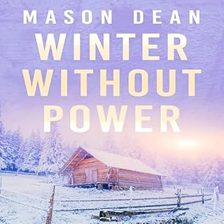 Winter Without Power cover art