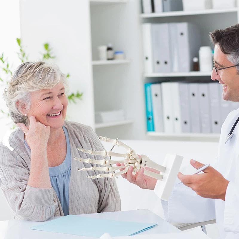 Image of Human Hand Joint Anatomical Articulated Hand Skeleton Model 1:1 Life Size | Fully Articulated Model for Desk Decor , Medical Lectures & Science Study