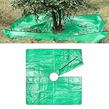 Zoom IMG-2 sandyseptember coperta da collezione di Zoom IMG-2 sandyseptember coperta da collezione di