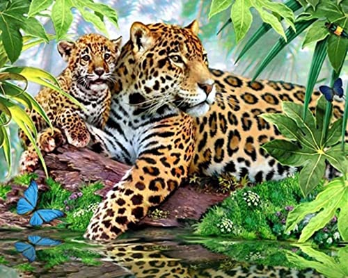 Peinture au diamant 5D Léopard kit complet broderie strass 30x40 cm