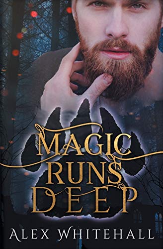 Magic Runs Deep view 2