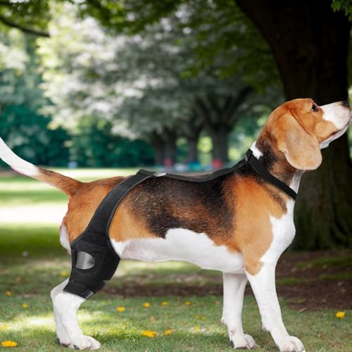 Hunde-Kniebandage – Bandage für Hinterbein, Bein oder Vorderbein, verstellbare Beinstütze für Hinterbeine, Bänderverletzungen, lindert Schmerzen und reduziert Schmerzen