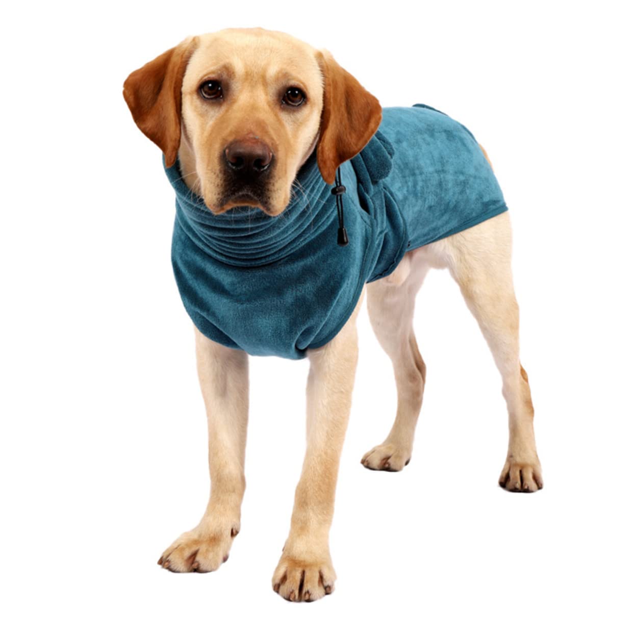 Peignoir pour chien XL Toddmomy avec ceinture réglable