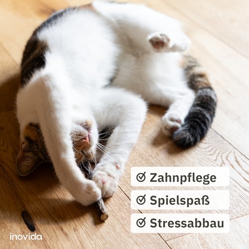 Inovida Matatabi Stick Katze : 8 Matatabi Sticks für Katzen Zahnpflege – Katzenspielzeug Holz gegen Mundgeruch – Natürliches Katzenminze Spielzeug für Katzen – Cat Sticks