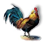 AK Wall Art Rooster Vintage Illustration - Magnet - Flexible Waterproof - Fridge Locker - Select...