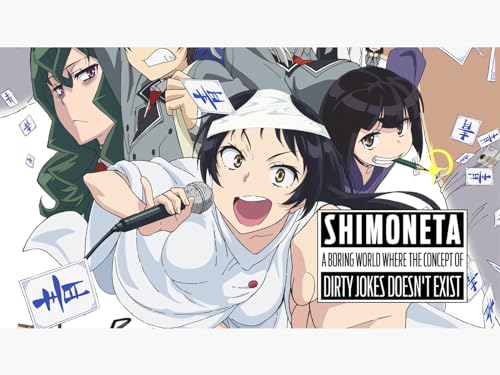 SHIMONETA: Un mundo aburrido sin chistes verdes