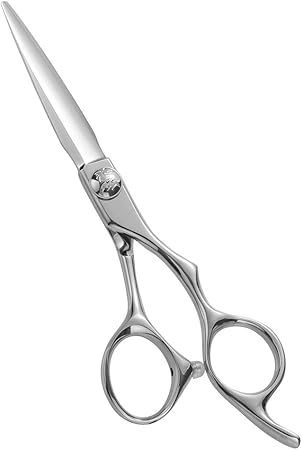 Amazon Aolanduo 非常に鋭い刃を持つプロの散髪はさみ Jp 440c鋼髪切りハサミ 耐久性 滑らかな動きとファインカット 美容師はさみ Aolanduo ハサミ すきバサミ 通販 Amazon Aolanduo 非常に鋭い刃を持つプロの散髪はさみ Jp 440c鋼髪切りハサミ 耐久性 滑らかな動きとファインカット 美容師はさみ Aolanduo ハサミ すきバサミ 通販