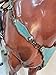 Argentina Cow Leather One Ear Headstall Bridle Breast Collar Set - Decorated with Teal Alligator and Copper Studs, for Horses
