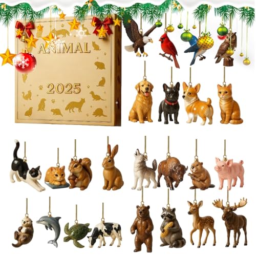 2025 N NX}X Aj} AhxgJ_[,24 2D AN V[Yi fR[V | c[ I[ig JEg_E J_[,̂߂ փhA ItBX NX}X[X Ki ̘g }g     