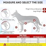 Hunde-Kniebandage – Bandage für Hinterbein, Bein oder Vorderbein, verstellbare Beinstütze für Hinterbeine, Bänderverletzungen, lindert Schmerzen und reduziert Schmerzen
