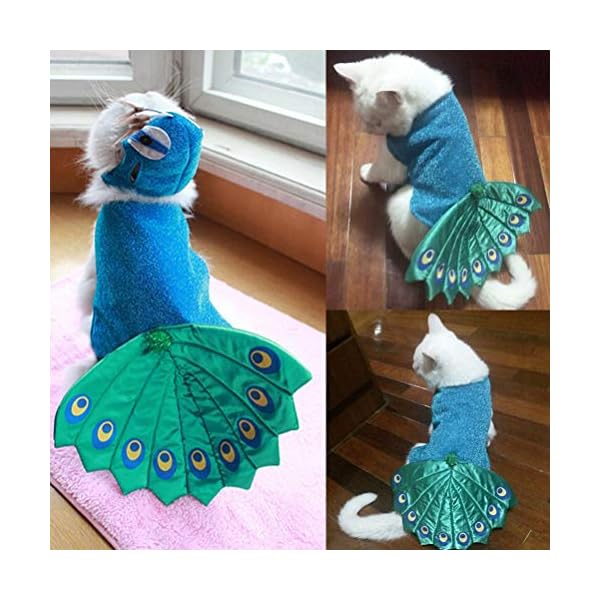 Popetpop dog peacock costume-pet costumes for cats peacocks halloween costumes with hat funny bird costume for small dogs and cats-blue - image 4