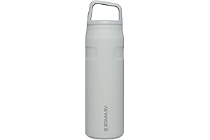 Stanley 24 oz. Quick Flip Go Water Bottle