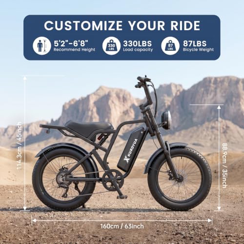 1500W Fat Tire Electric Bike