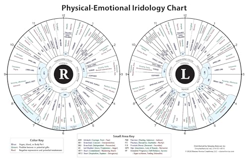Image of Iridology Chart - 11x17 Double-Sided Laminated Iris Map with Organ Zones & Emotional Traits - Constitutional Health & Personality Assessment Tool