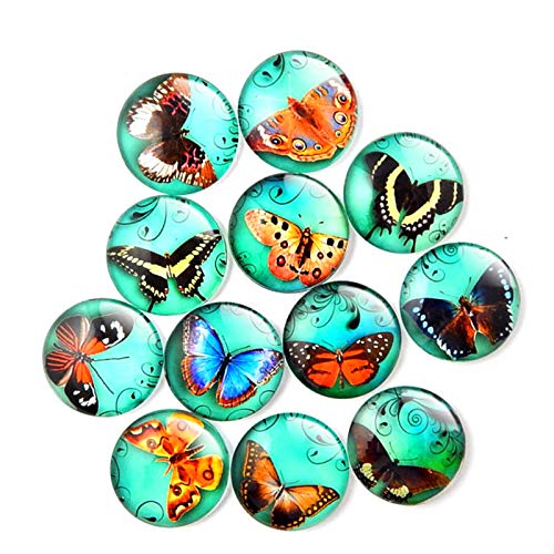 Butterfly Refrigerator 12 Pieces Cute Decorative for