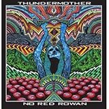 no red rowan