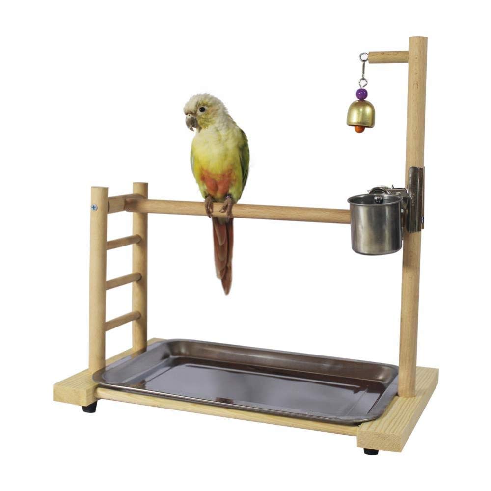 View of Wooden Bird Cage Stands Sage Square Natural Sand Wooden Bird Playful