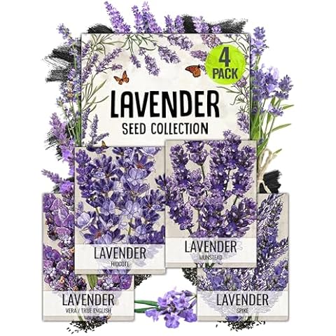 Seed Needs, Lavender Herb Seed Packet Collection (4 Varieties of Lavender Seeds for Planting) Heirloom, Non-GMO & Untreated Cover