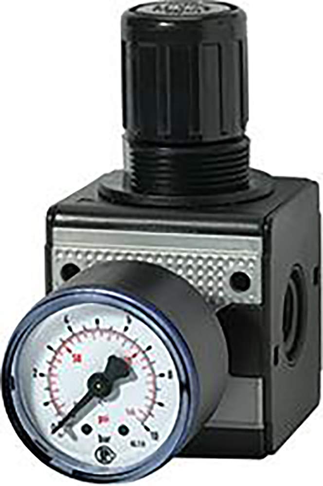RIEGLER 100425-R 33-10 Druckregler »multifix«, inkl. Manometer, BG 3, G 1/2, 0,5-10 bar, 1Stk