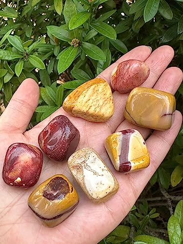 Image of GAF TREASURES 1 /2 LB Mookaite Tumbled Stones, Polished Mookaite Gemstone, Mookaite Healing Crystals (Mookaite)