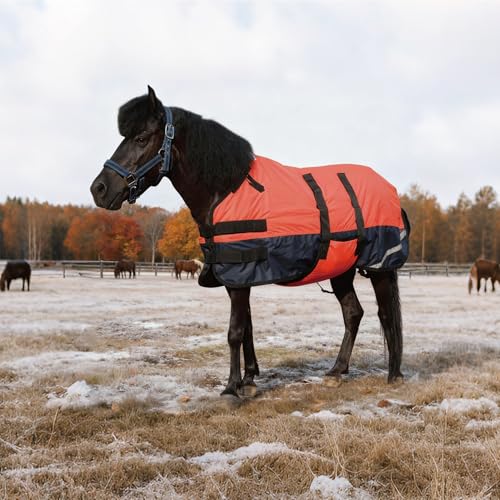Manta impermeable transpirable con relleno de 150 g para potro y mini caballo 8