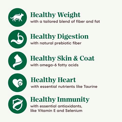 Nutro Wholesome Essentials Dry Cat Food, Indoor Cat Food Dry Chicken & Brown Rice Recipe, 5 lbs. - image 5