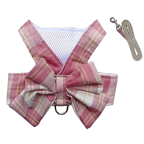 Oyccen Imbracatura con Guinzaglio per Animali Domestici Plaid Pettorina per Cane di Piccola e Gatto Carino Principessa Vestiti di Cucciolo