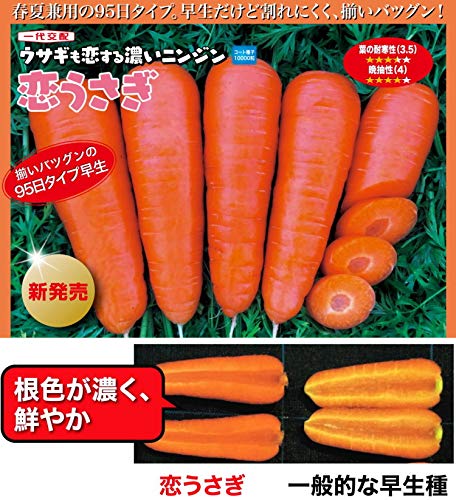 にんじん。さまおまとめ 2点 にんじん様 リクエスト 2点 まとめ商品 にんじん様 リクエスト品