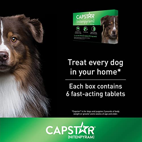 CAPSTAR (nitenpyram) Oral Flea Treatment for Dogs, Fast Acting Tablets Start Killing Fleas in 30 Minutes, Medium & Large… - Image 4