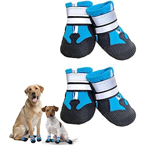 Bottes Dricar pour Chien Cover