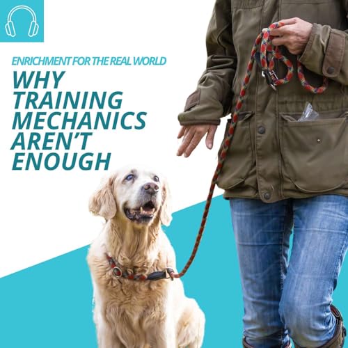 Page de couverture de #131 - Why Training Mechanics Aren't Enough