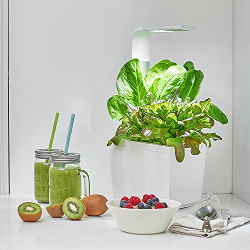 Tregren T3 Potager d'intérieur Connecté 3 plantes, Kit prêt à pousser et Jardinière Autonome pour herbes aromatiques, petits légumes, fleurs - Cultivez avec votre application smartphone - Blanc Tregren T3 Potager d'intérieur Connecté 3 plantes, Kit prêt à pousser et Jardinière Autonome pour herbes aromatiques, petits légumes, fleurs - Cultivez avec votre application smartphone - Blanc