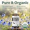 Organic Black Seed Oil | Cold Pressed Pure Black Cumin Seed Oil | Antioxidant, Blood Sugar & Liver Support | 100% Pure, Virgin Nigella Sativa | Zero Additives, Vegan & Non-GMO | 240ml (8 oz.)