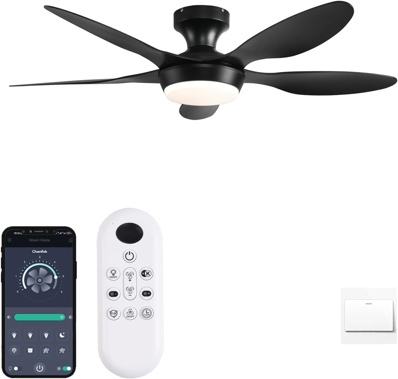 Ceiling Fan with Lights