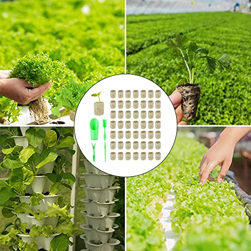YANRU 50 pcs,Steinwolle Plugs,Rockwool Cube,Hydroponischen Block-GemüSe,Steinwollpad FüR Den Pflanzenanbau,Mit 4 StüCk SäMlings-Pflanzwerkzeugen,Anbau Von SäMlingen,Blumen,Pflanzen,Garten (50)